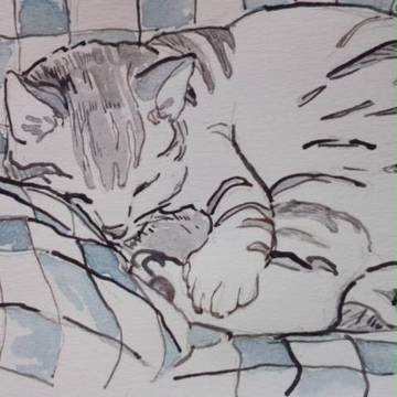 ねこ