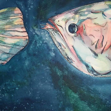 アロワナ