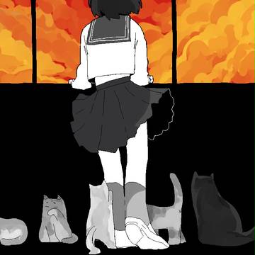 猫と夕映え