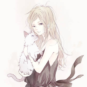 My sugar cat