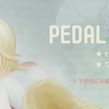 【青手】ペダルログ