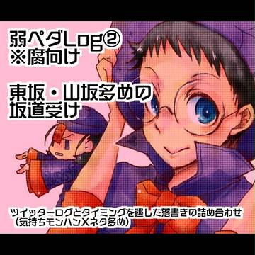 ペダルlog②