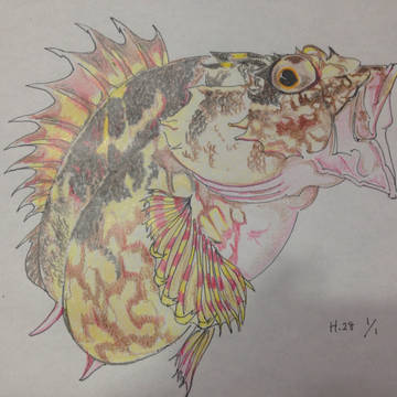 新年明けまして