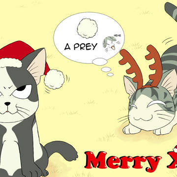 Merry Xmas & Happy New Year