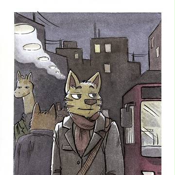 Night cat