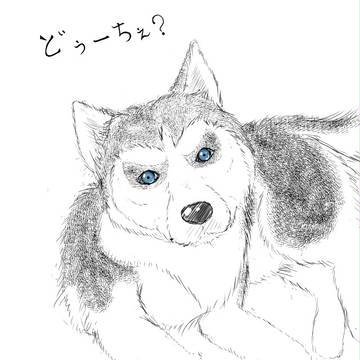 チョビ