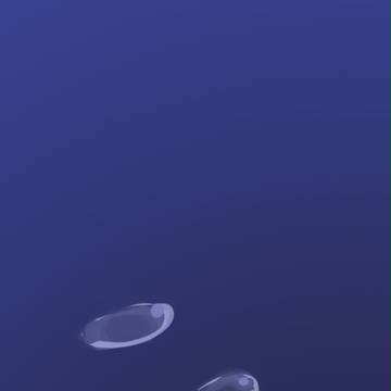 水