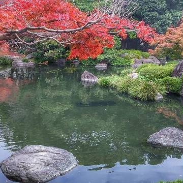 池のある公園