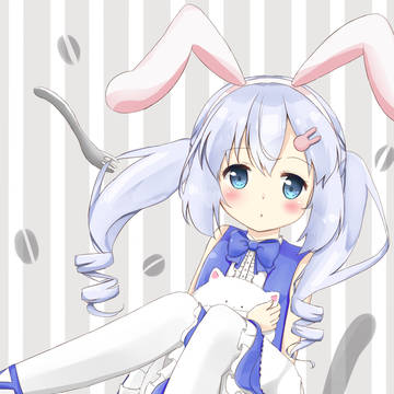 チノちゃん