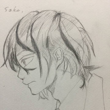 さくせんせー