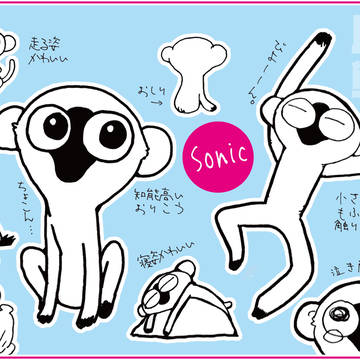 ソニックいろいろ♪