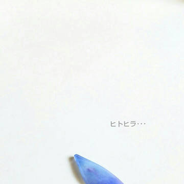 ヒトヒラ･･･