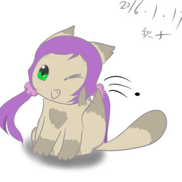 狸猫希