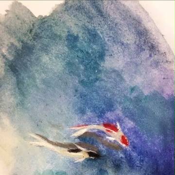 锦鲤