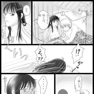 【銀桂】【腐】サクラサク