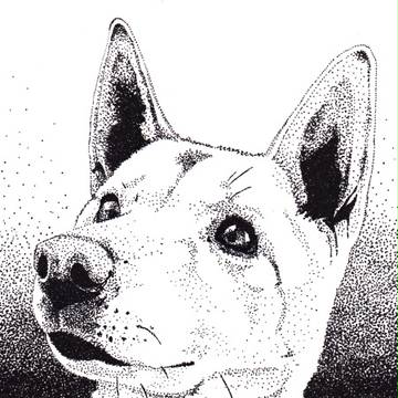 はがきサイズ点描Dogs①