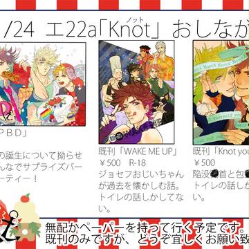 1/24ザワ5 エ22a「Knot」