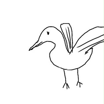 飛び立とうとする鳥くん