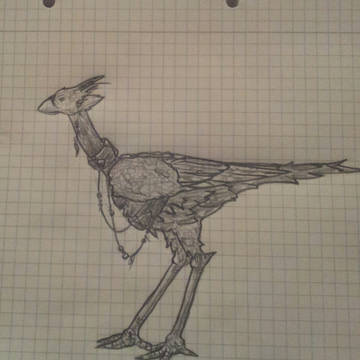 chocobo for my own
