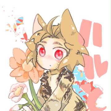 ねこつめあわせ