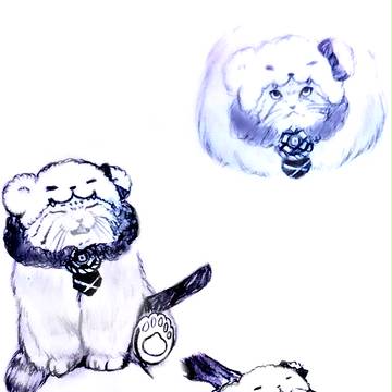 マヌルネコあつみ【しんけん擬ケモ化】