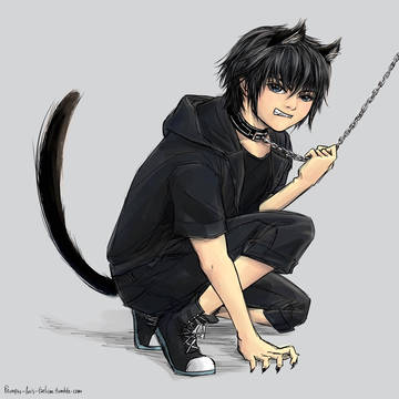 Neko Noctis