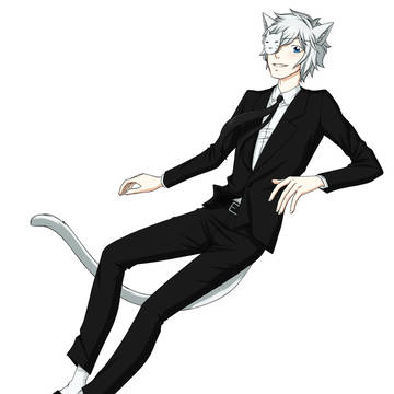 The Anime Man