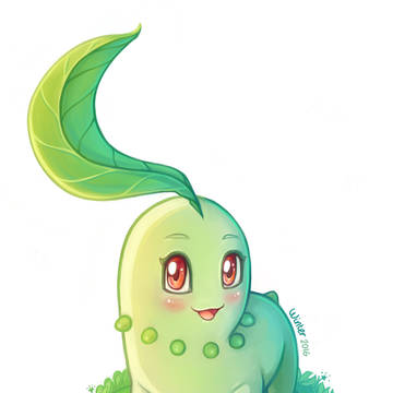 Chikorita