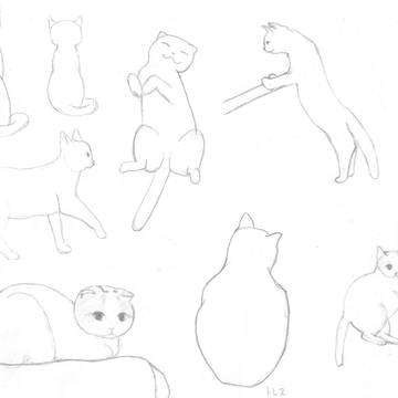 猫ポーズ練習