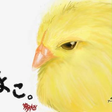 ひよこ