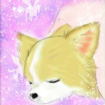 ティアラ