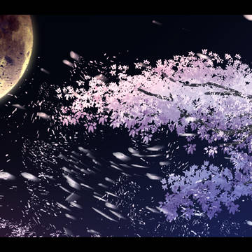 夜桜
