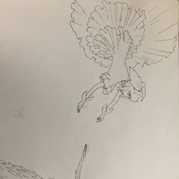 圆焰