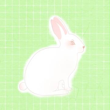 兔子