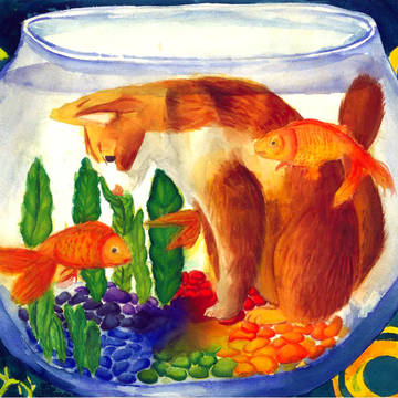 魚缸