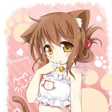猫ランジェリー電ちゃん