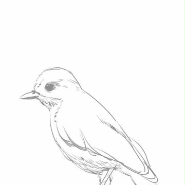 09_2th Bird
