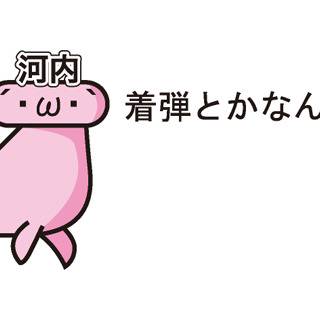 河内たん