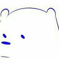 ice bear