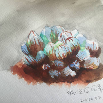 姬玉露