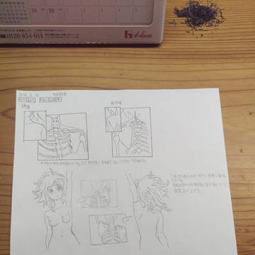 コピー用紙500枚!(四十八枚目)
