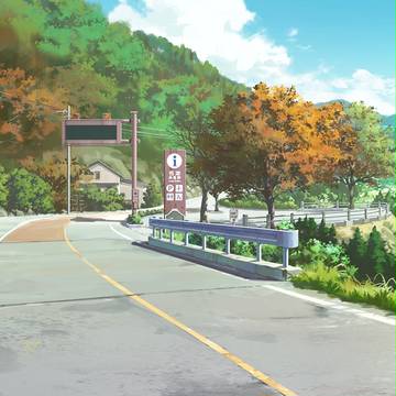 VN11