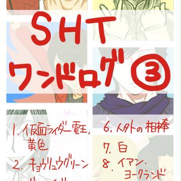 SHTワンドログ③