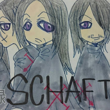 SCHAFT