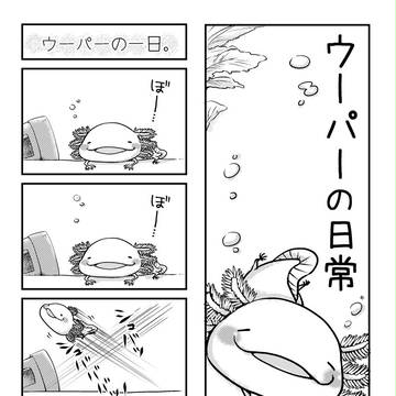 ウーパーの日常。(4コマ)