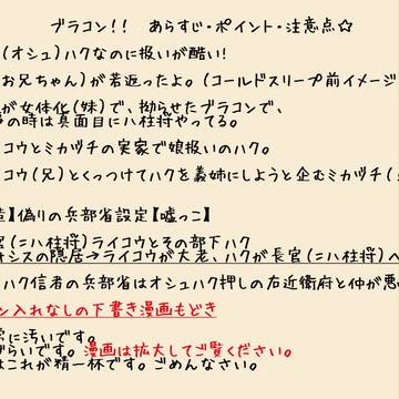【御礼】ブラコン！！―落書き漫画もどき―