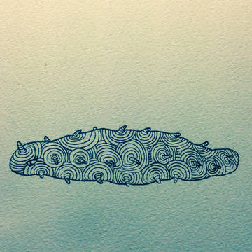 海鼠
