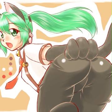 にゃんこの日2016