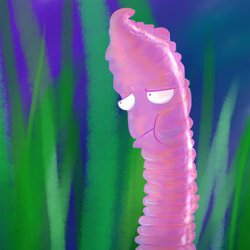 Worm up