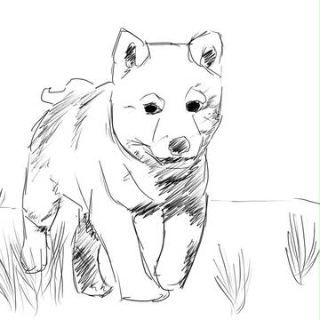 Scrap_Shiba